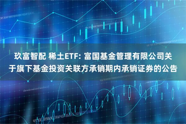 玖富智配 稀土ETF: 富国基金管理有限公司关于旗下基金投资关联方承销期内承销证券的公告
